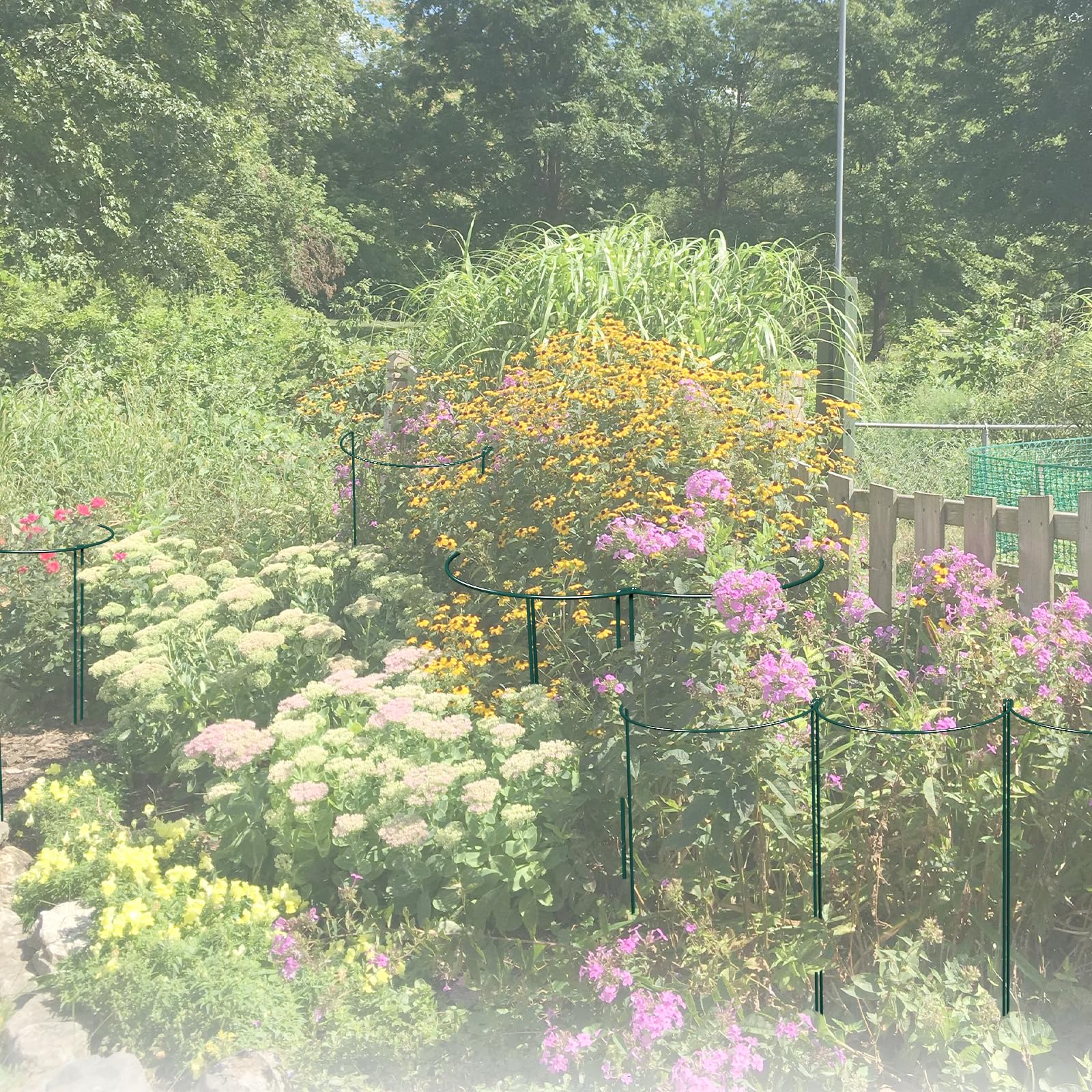 LKSSZS stakes integrated in a garden bed protecting hydrangea and tomato plants
