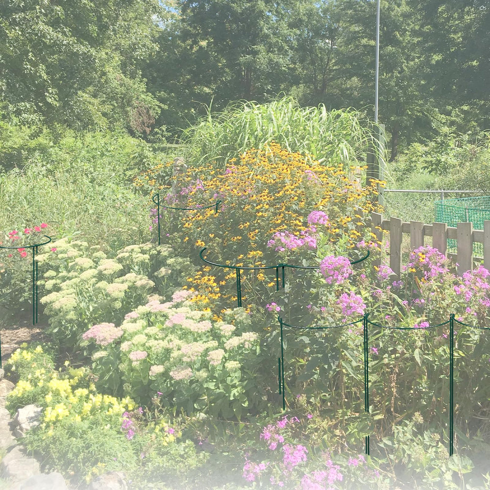 LKSSZS stakes integrated in a garden bed protecting hydrangea and tomato plants