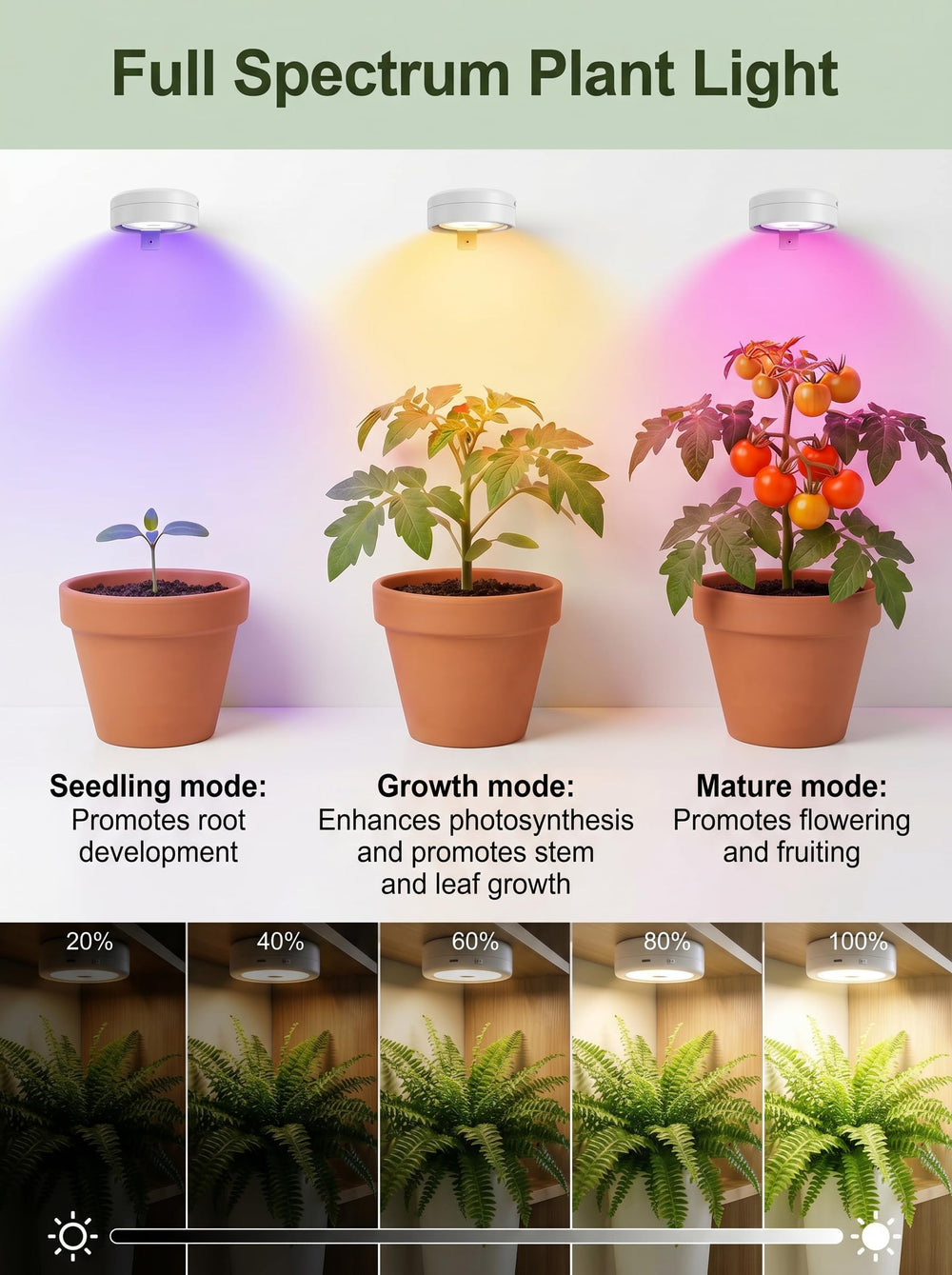 LMBMYYS in use on a plant shelf lighting herbs to boost indoor growth consistency