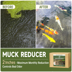 LMJP tablet close-up texture showing enzyme tablet detail and effective breakdown
