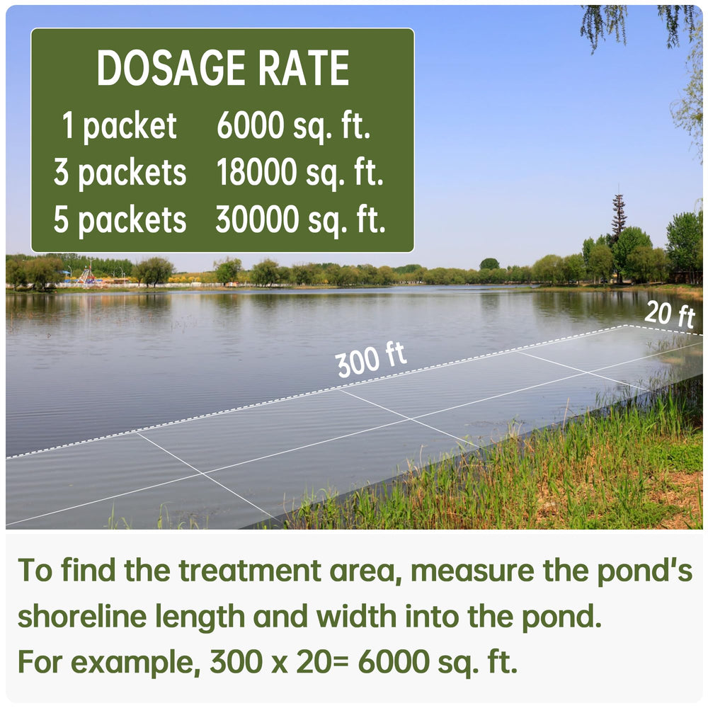 LMJP before and after pond water comparison showing clearer water