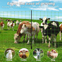LMRSTOO installed in pasture showing height containment and visibility