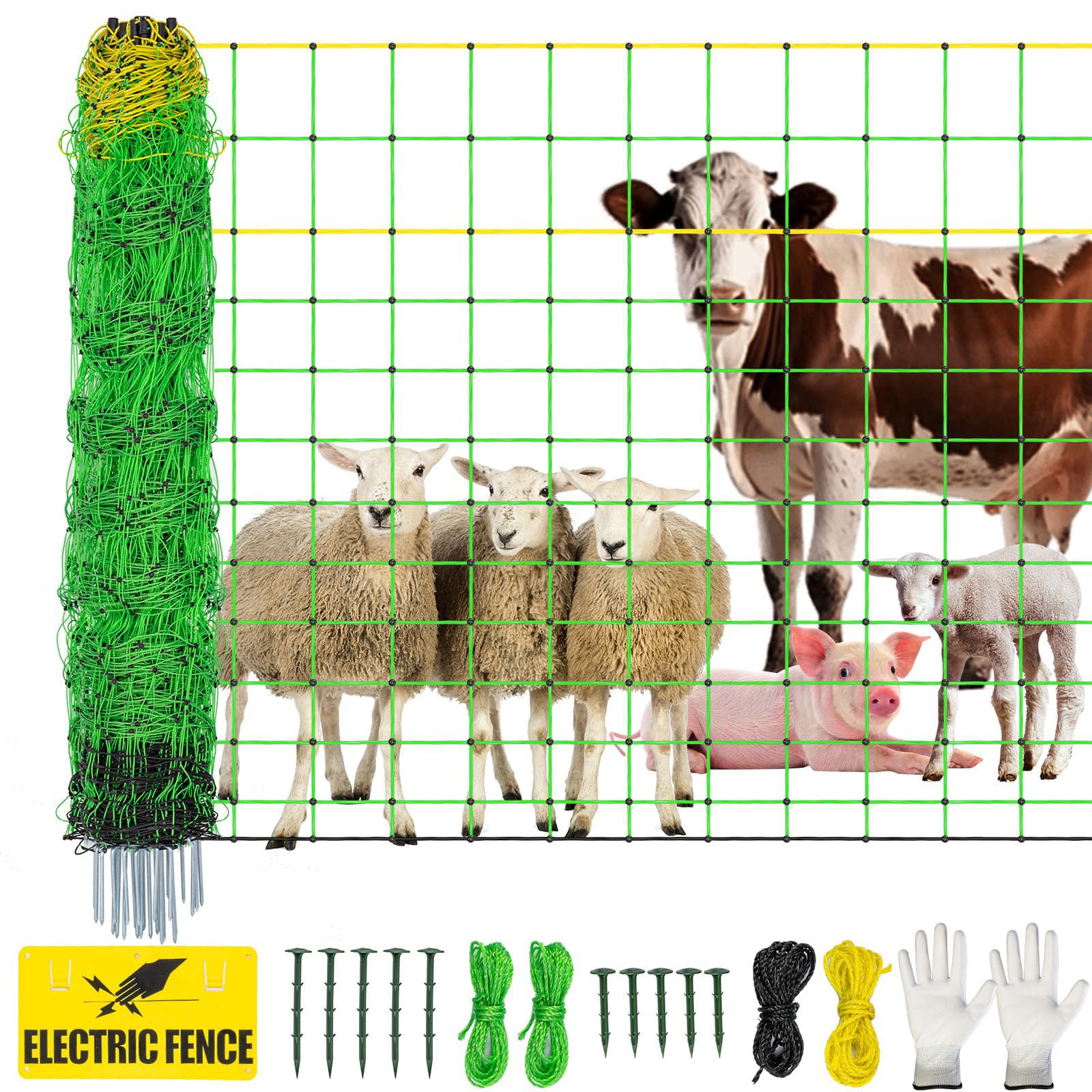 LMRSTOO fence used in homestead rotation showing protected pasture and animals