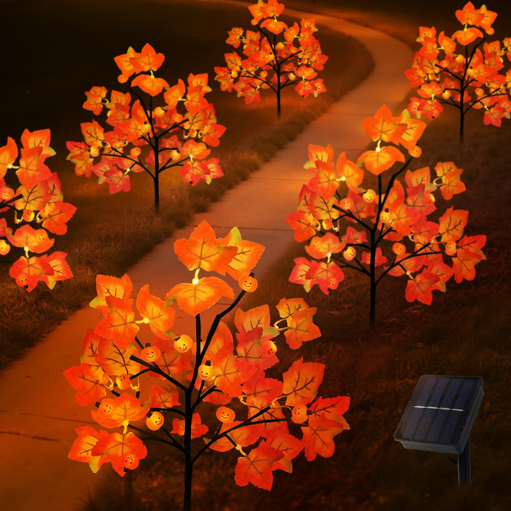 Lmtocs pathway lit at night with warm LEDs creating safe, inviting autumn ambiance