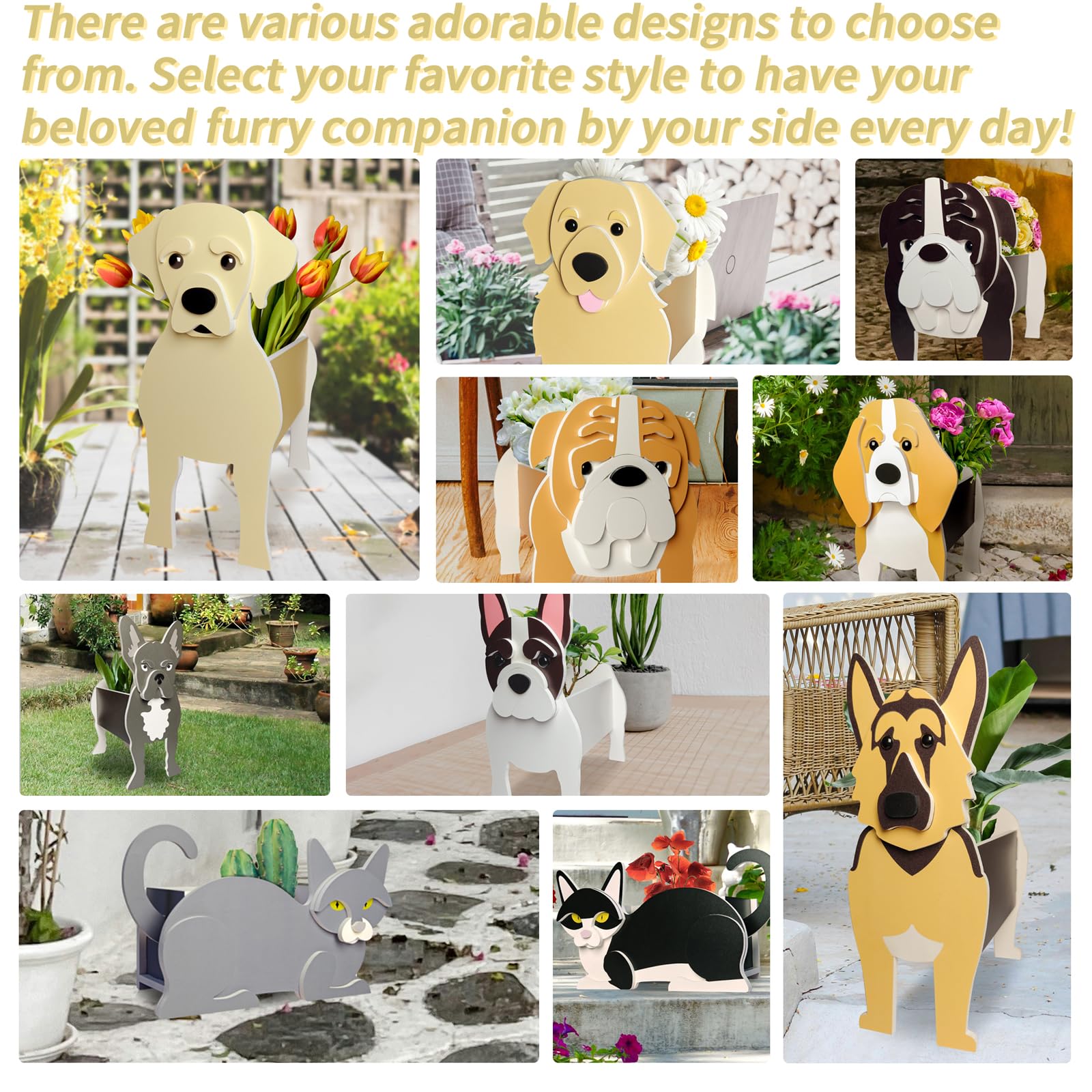 Lnakio beagle gift packaging display showing presentable gift option