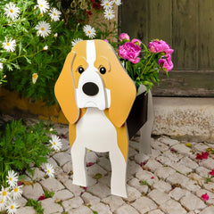 Lnakio beagle side profile highlighting size and decorative appeal