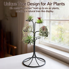 LNBNIEW close-up of circular ring detail holding air plant, secure plant support