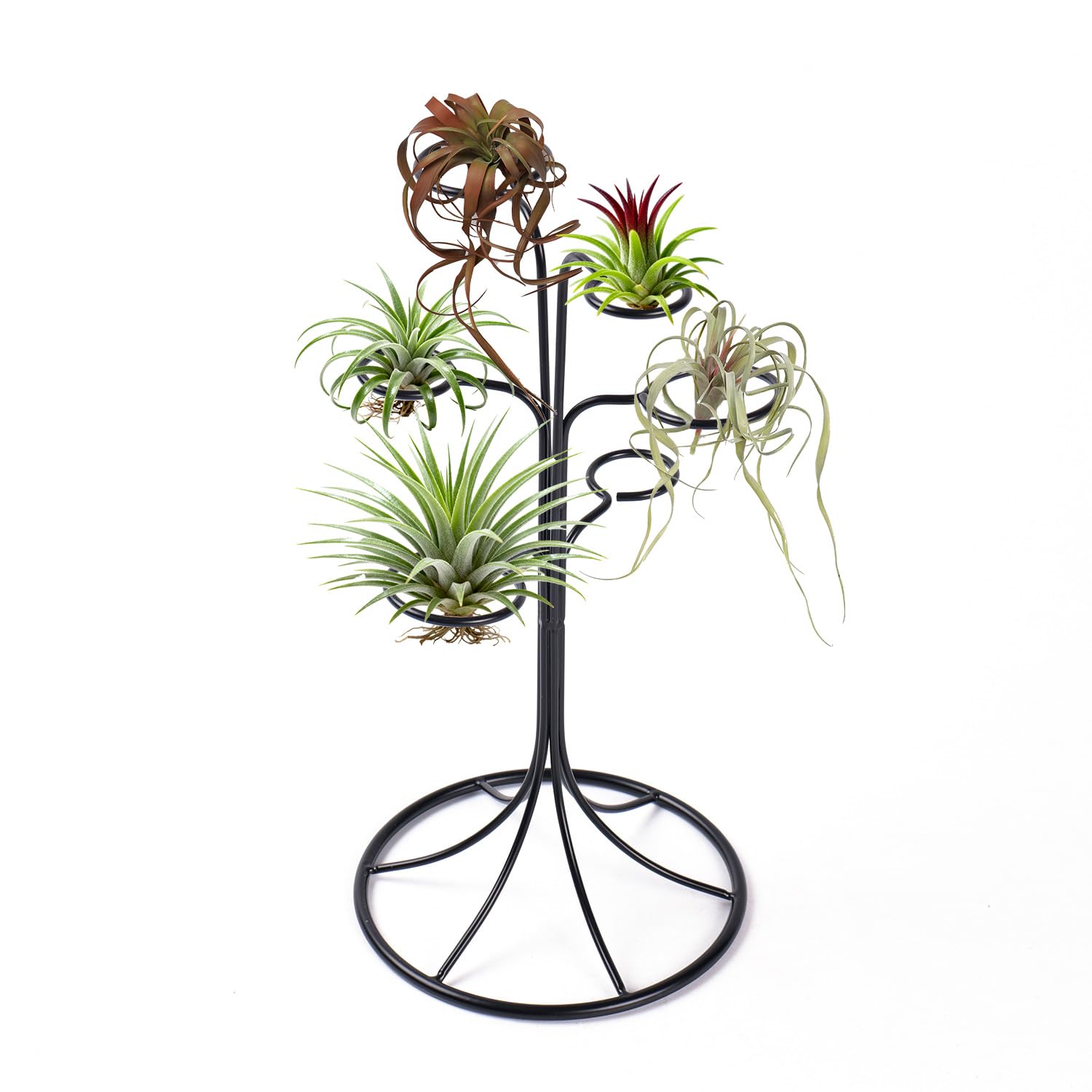 LNBNIEW front view of iron tree stand showing six rings and sleek finish, stylish display