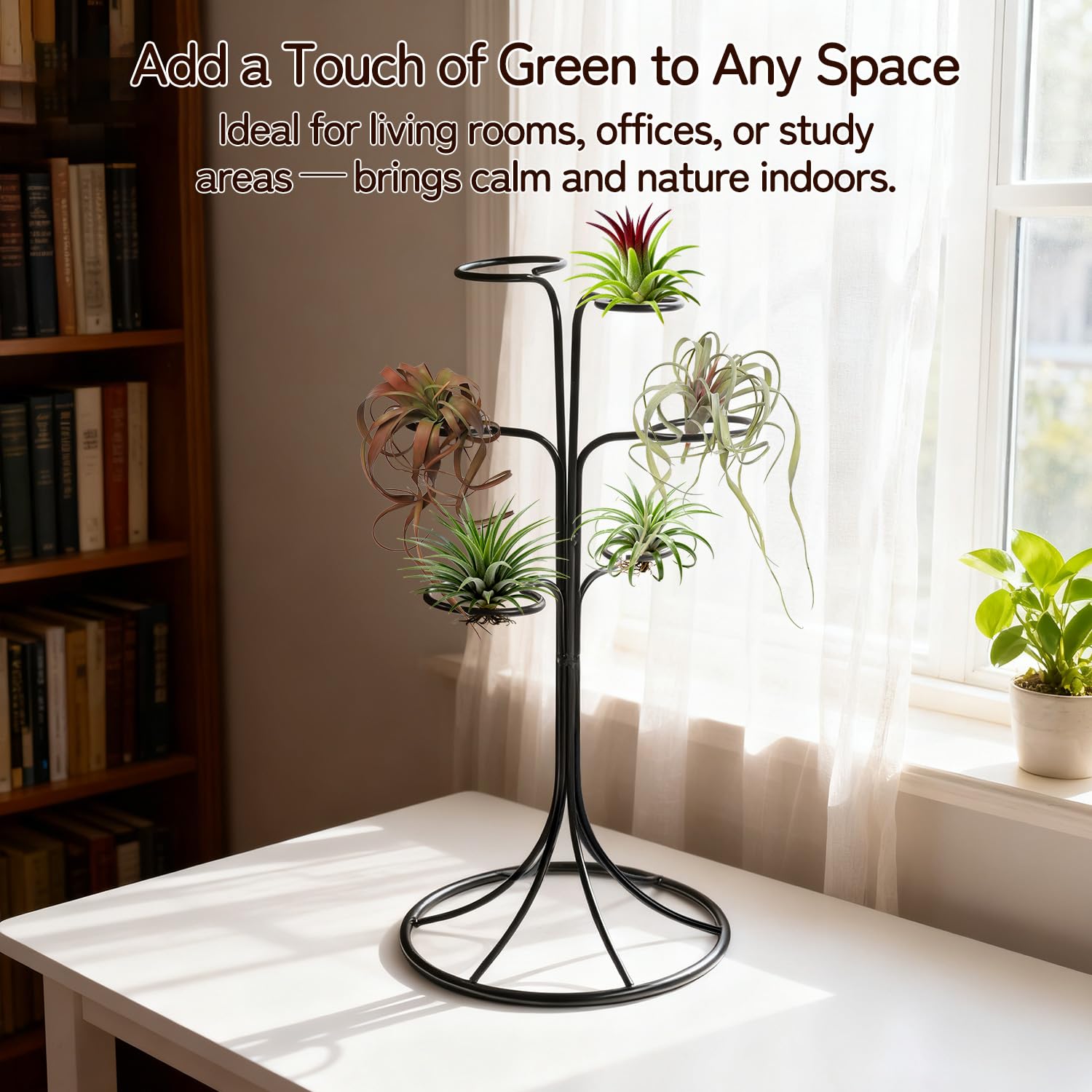 LNBNIEW side profile silhouette highlighting branch curves and modern aesthetic