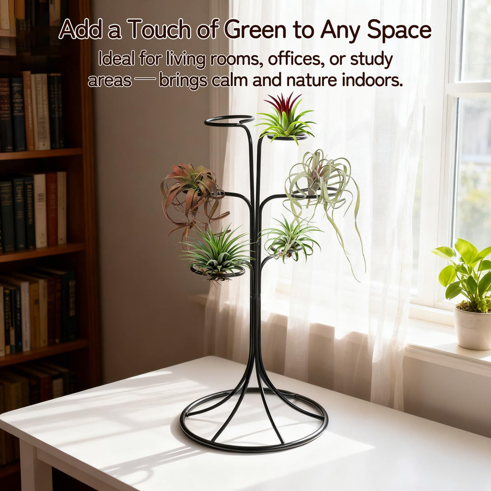 LNBNIEW side profile silhouette highlighting branch curves and modern aesthetic