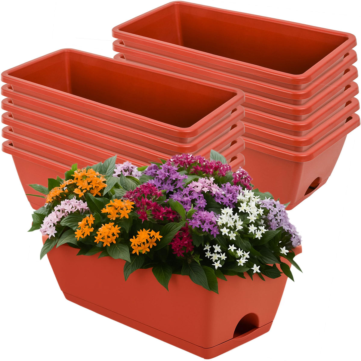 LOCONHA front view of planter set showing neat rectangle shape and color