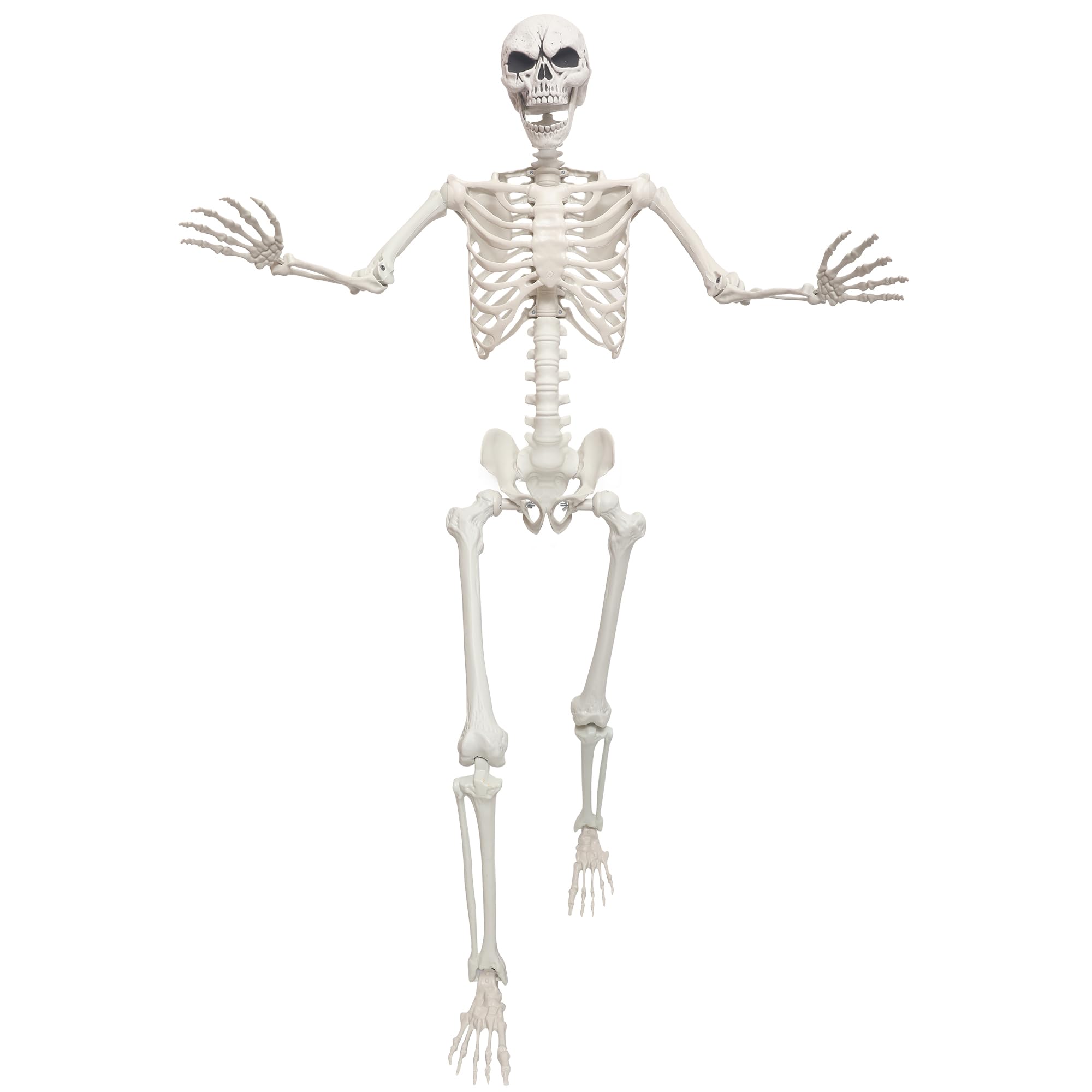 Lodou front view full body skeleton showing realistic bones and outdoor appeal