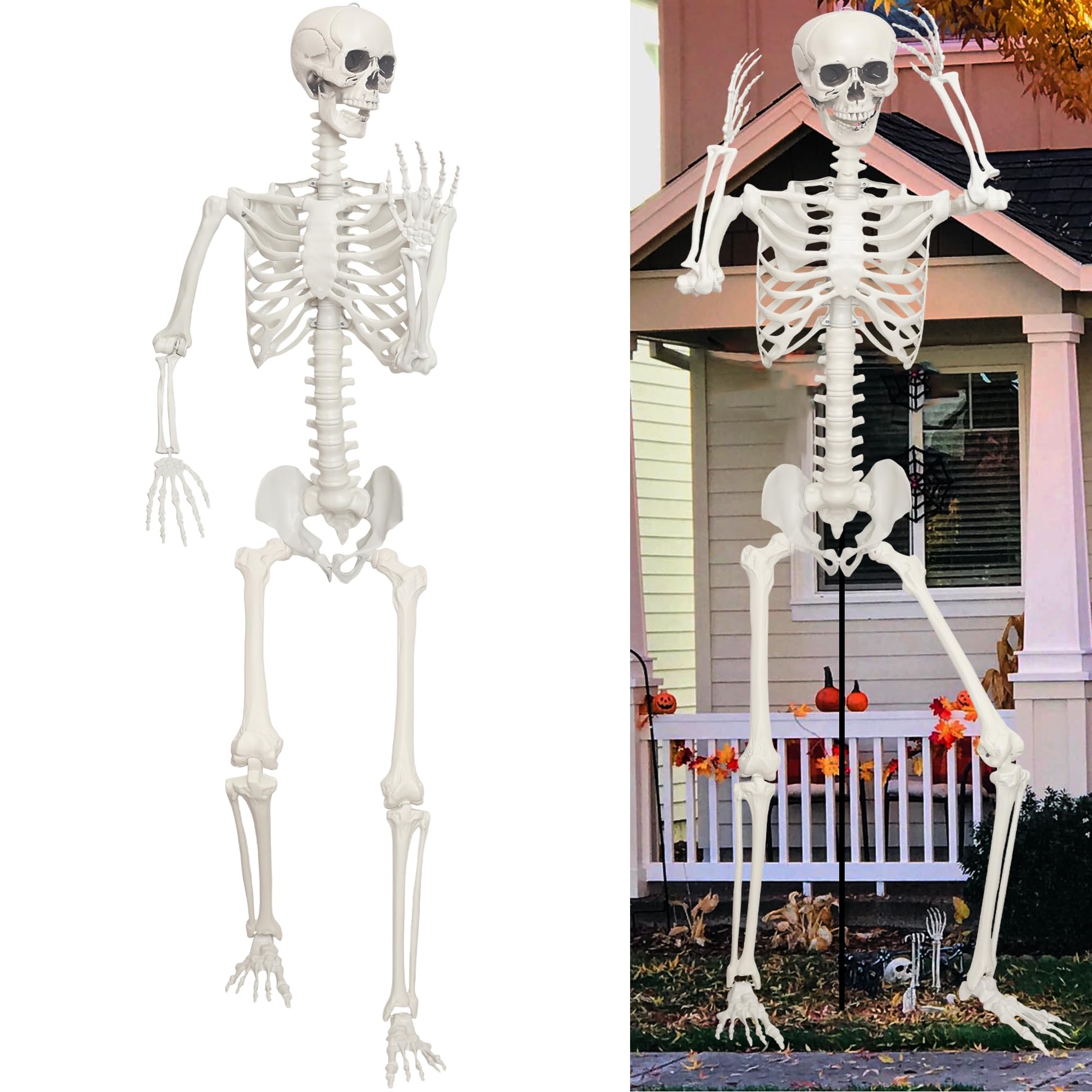 Lodou front view full body skeleton providing striking curb appeal