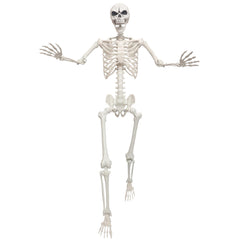 Lodou front view full body skeleton showing realistic bones and outdoor appeal