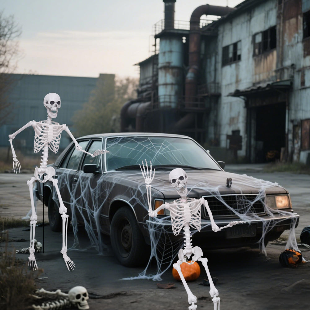 Lodou skeleton beside chair to demonstrate true-to-life height
