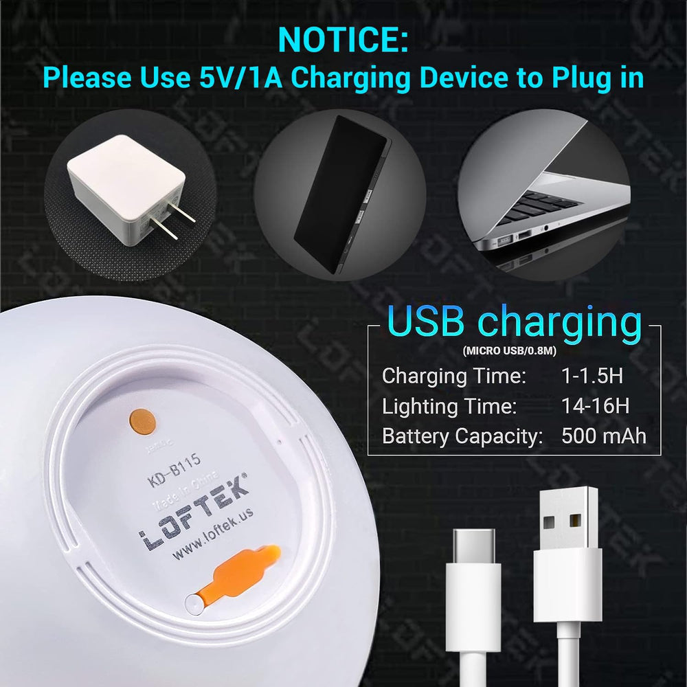 LOFTEK packaging with USB cable and remote showing included accessories