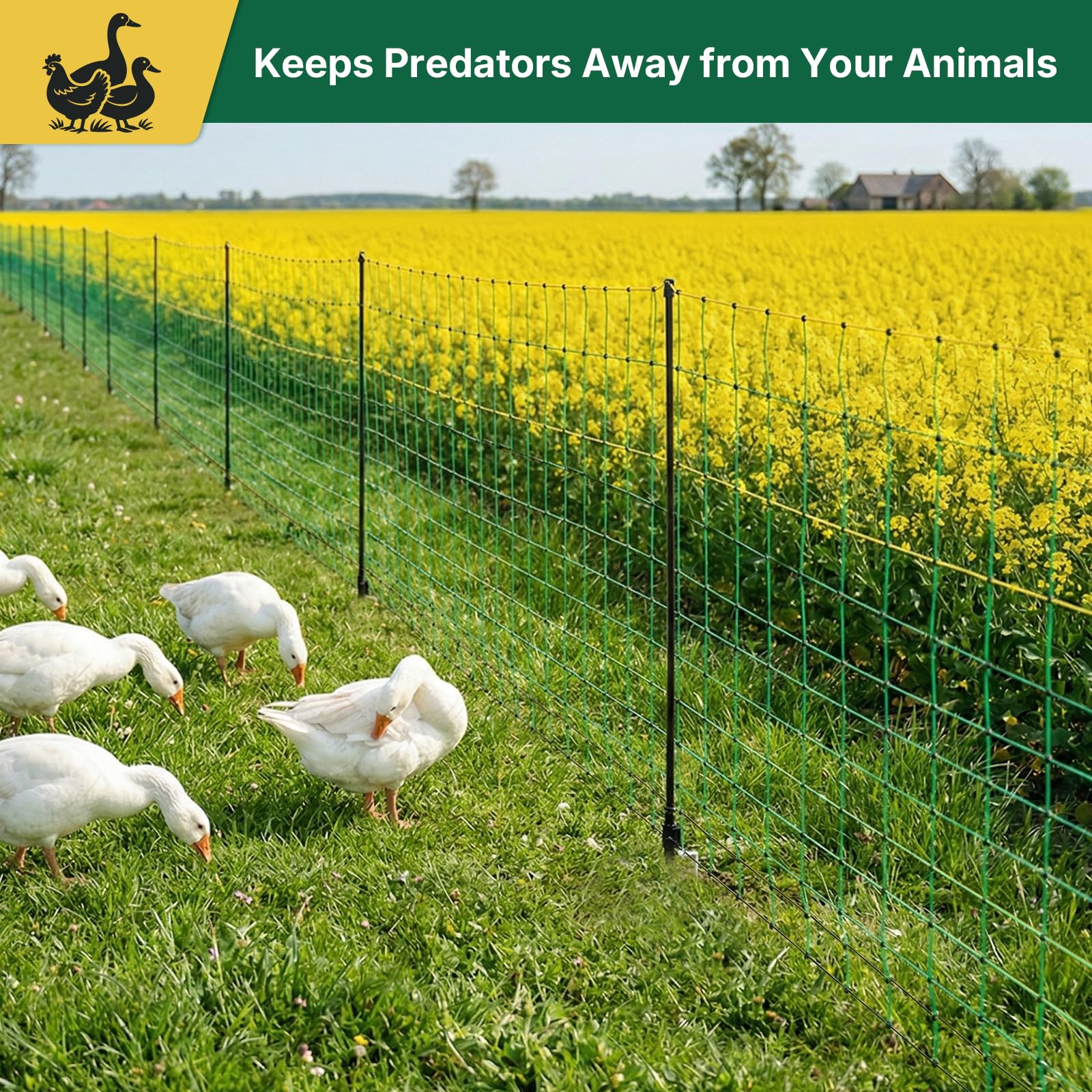 LoJok installed around a backyard coop showing flexible grazing and safety benefit
