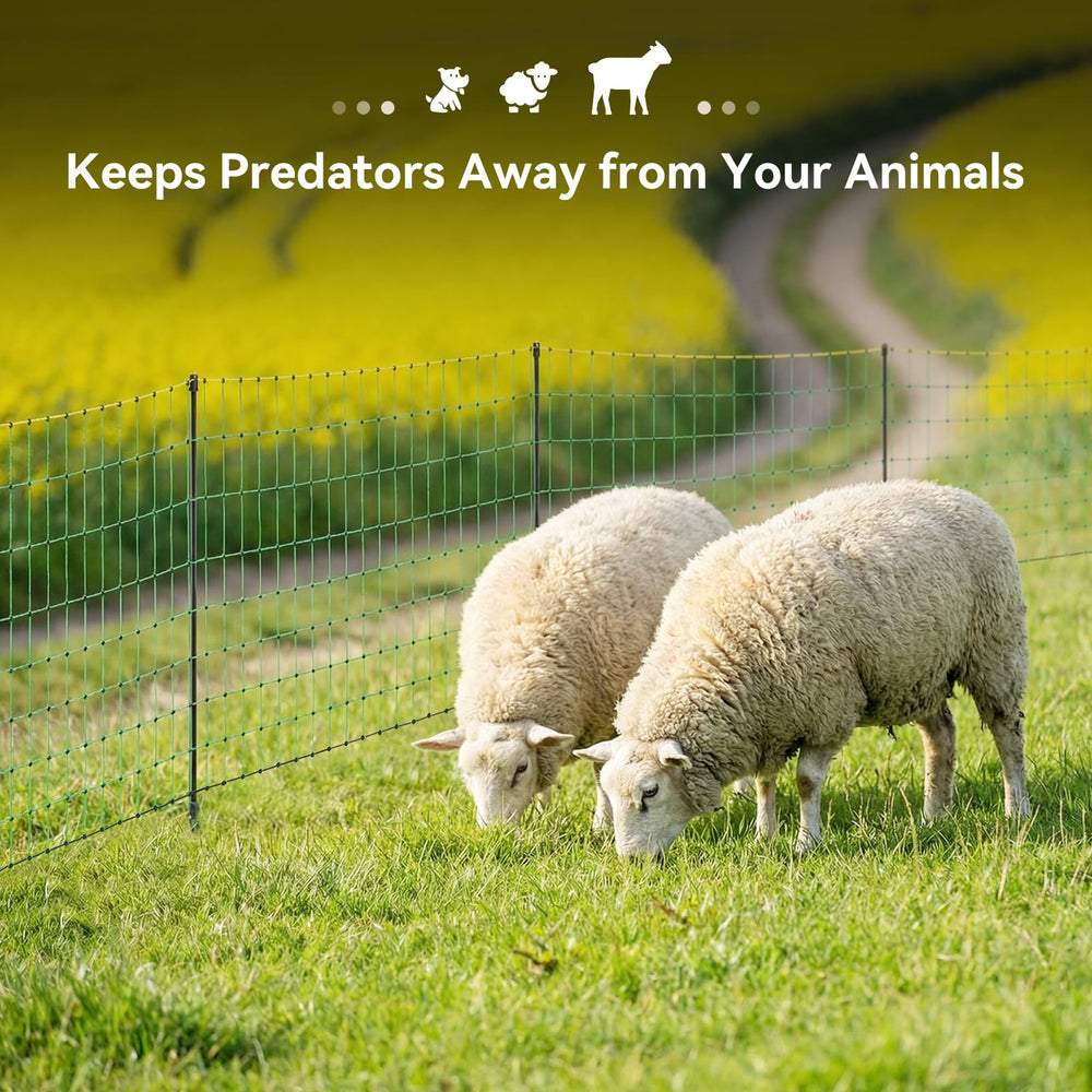 LoJok installed around a paddock protecting pasture and enabling rotational grazing benefit