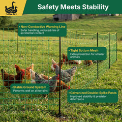 LoJok fence installed around chickens showing predator protection benefit