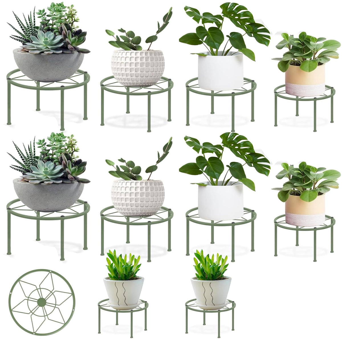 lokeisna front view of 10-piece set showing green stands and packaging, durable storage