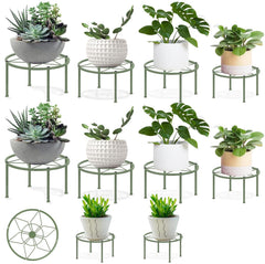 lokeisna front view of 10-piece set showing green stands and packaging, durable storage