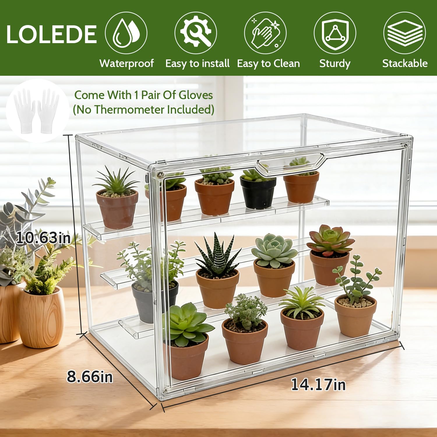 LOLEDE interior shelving detail showing three tiers and tidy organization benefit