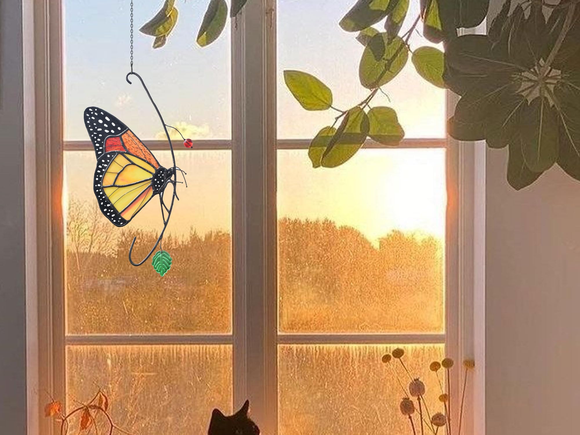 Lolitarcrafts Monarch displayed in room adding natural elegance and focal interest