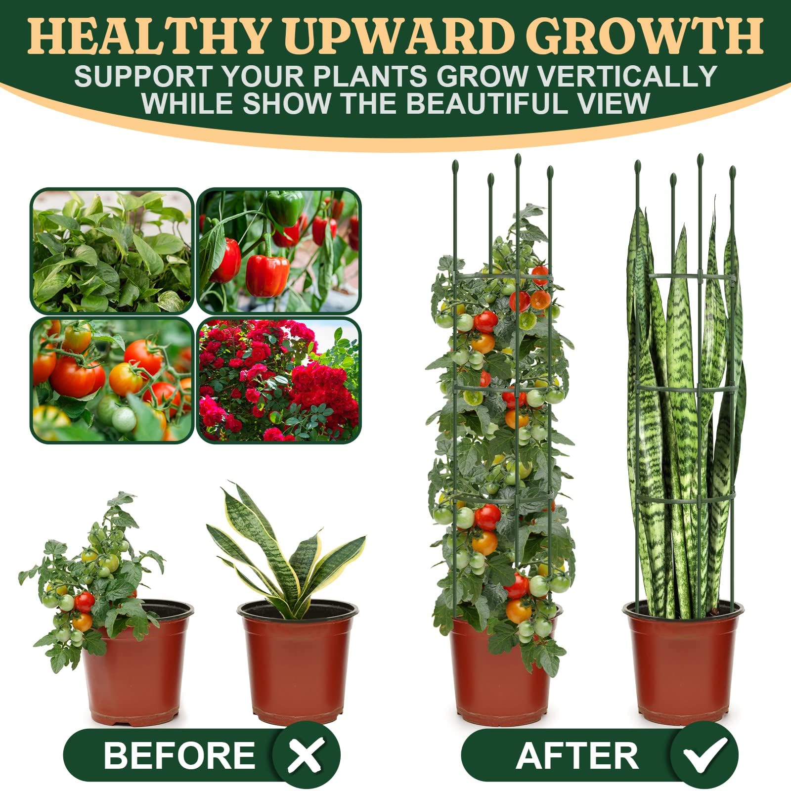 LOMNYIY trellis supporting tomato plants in garden for cleaner fruit