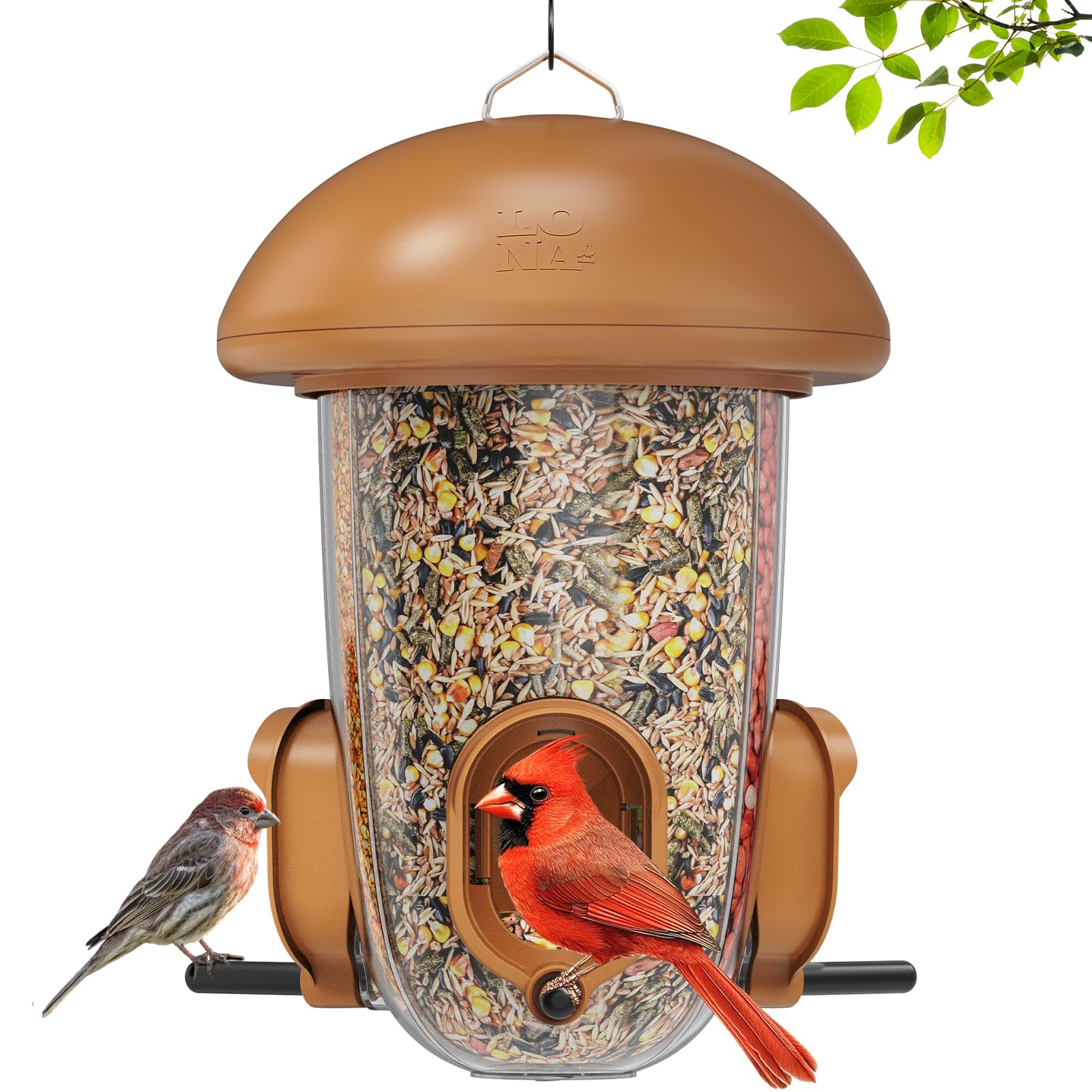 LO NA LOVE NATURE front view of feeder showing full dome and walk-in perches benefit visibility