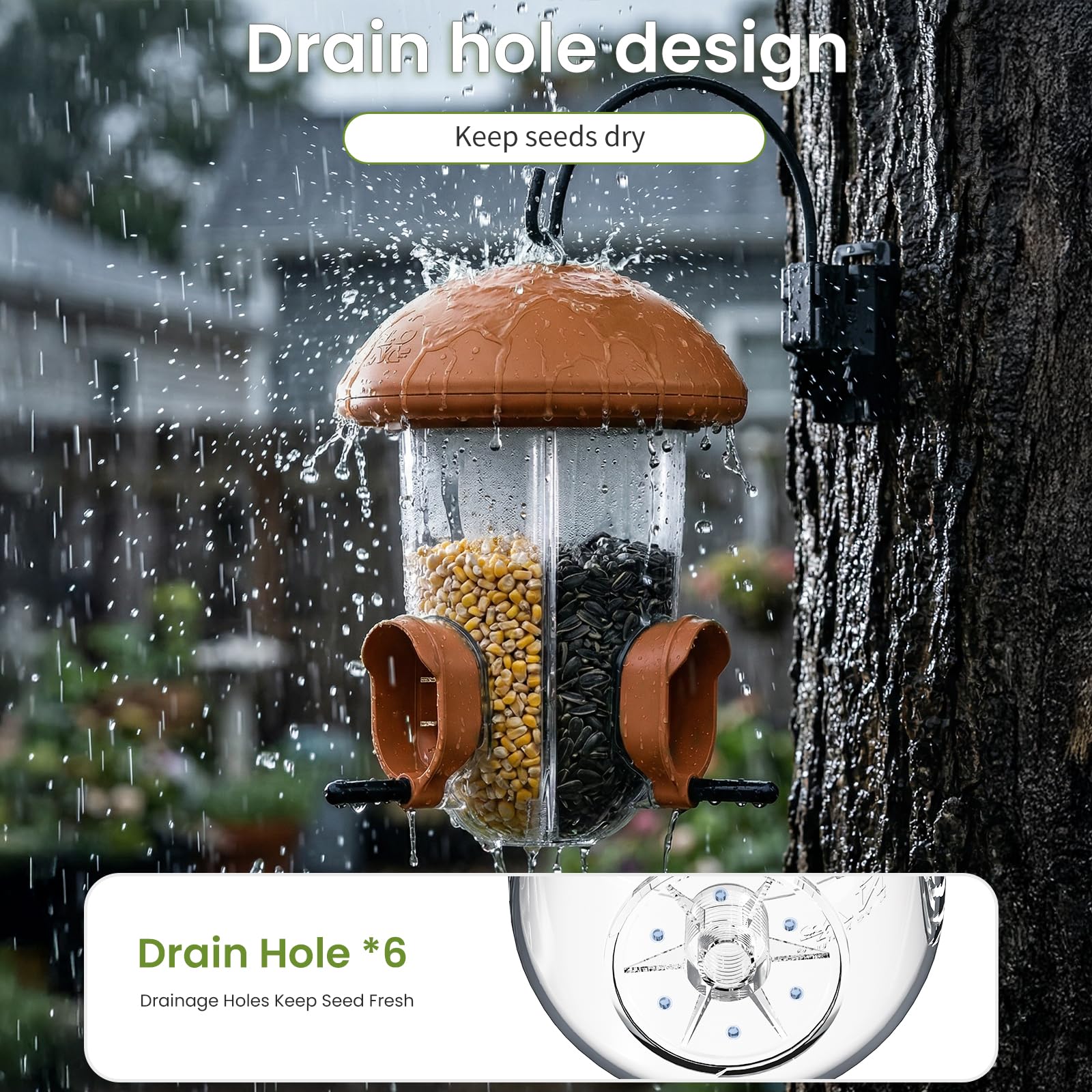 LO NA LOVE NATURE feeder hanging in backyard attracting birds for peaceful viewing