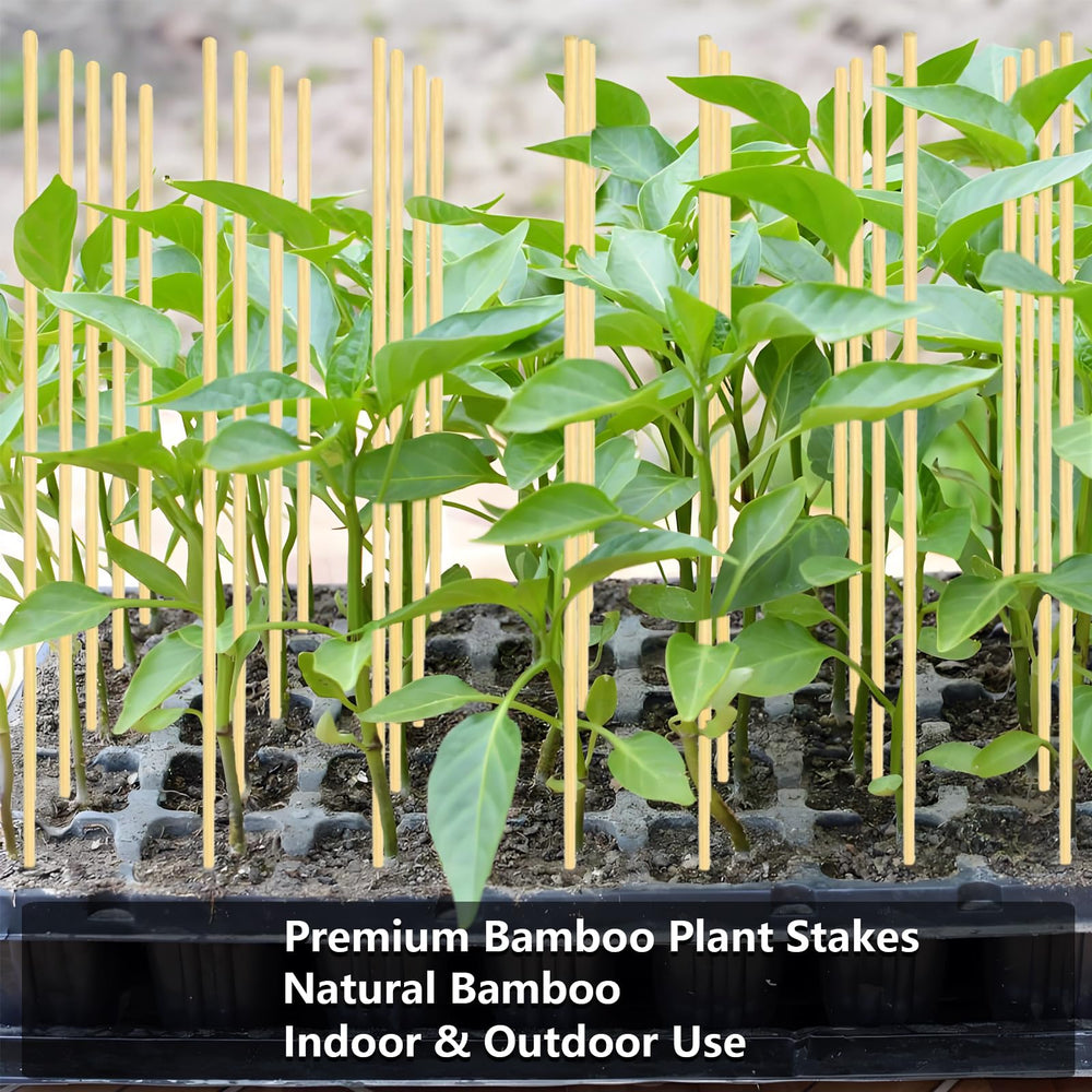 LONCHAN close-up of bamboo grain and smooth finish, durable natural support