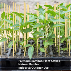 LONCHAN close-up of bamboo grain and smooth finish, durable natural support