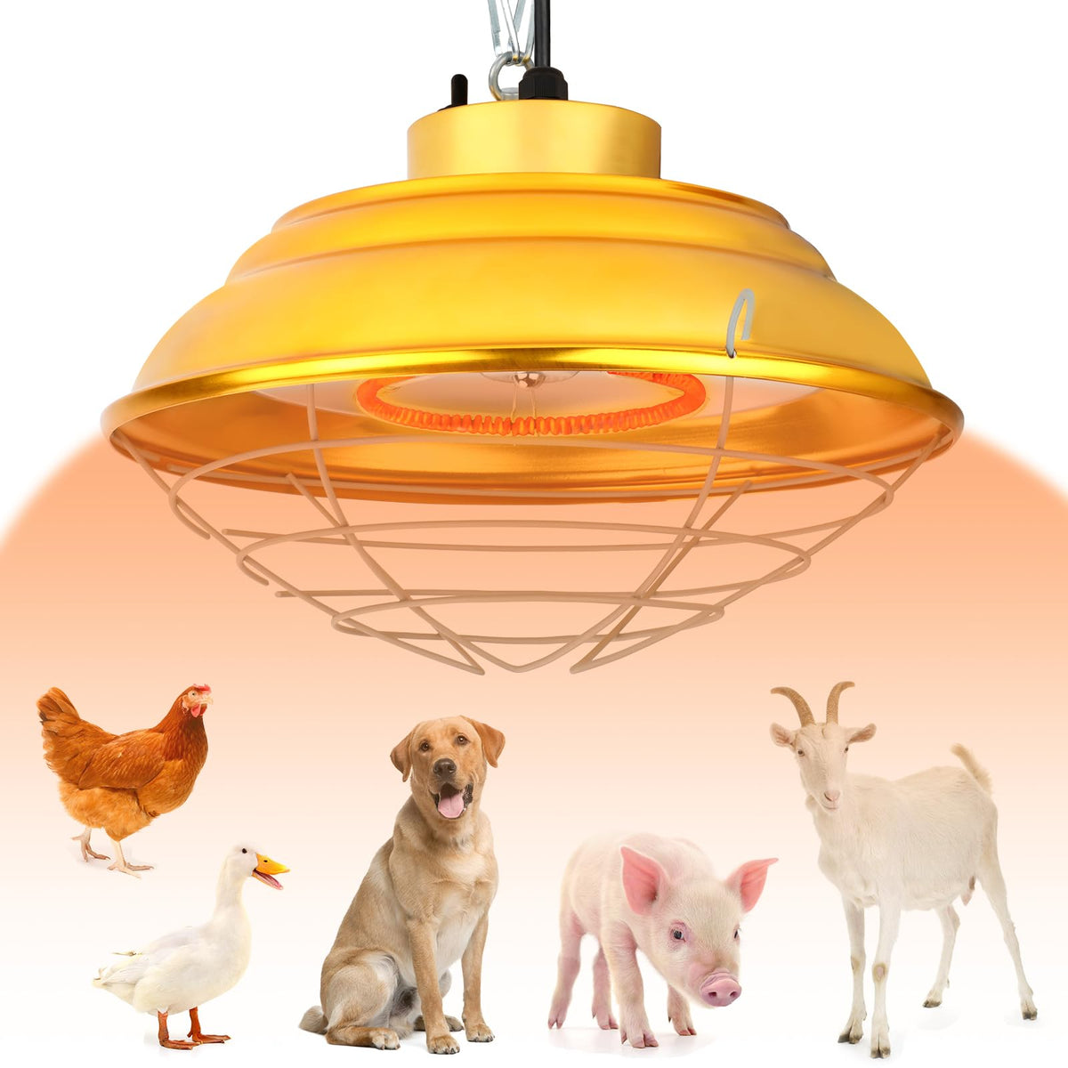 Lonepetu front view of heat lamp showing directional warmth benefit