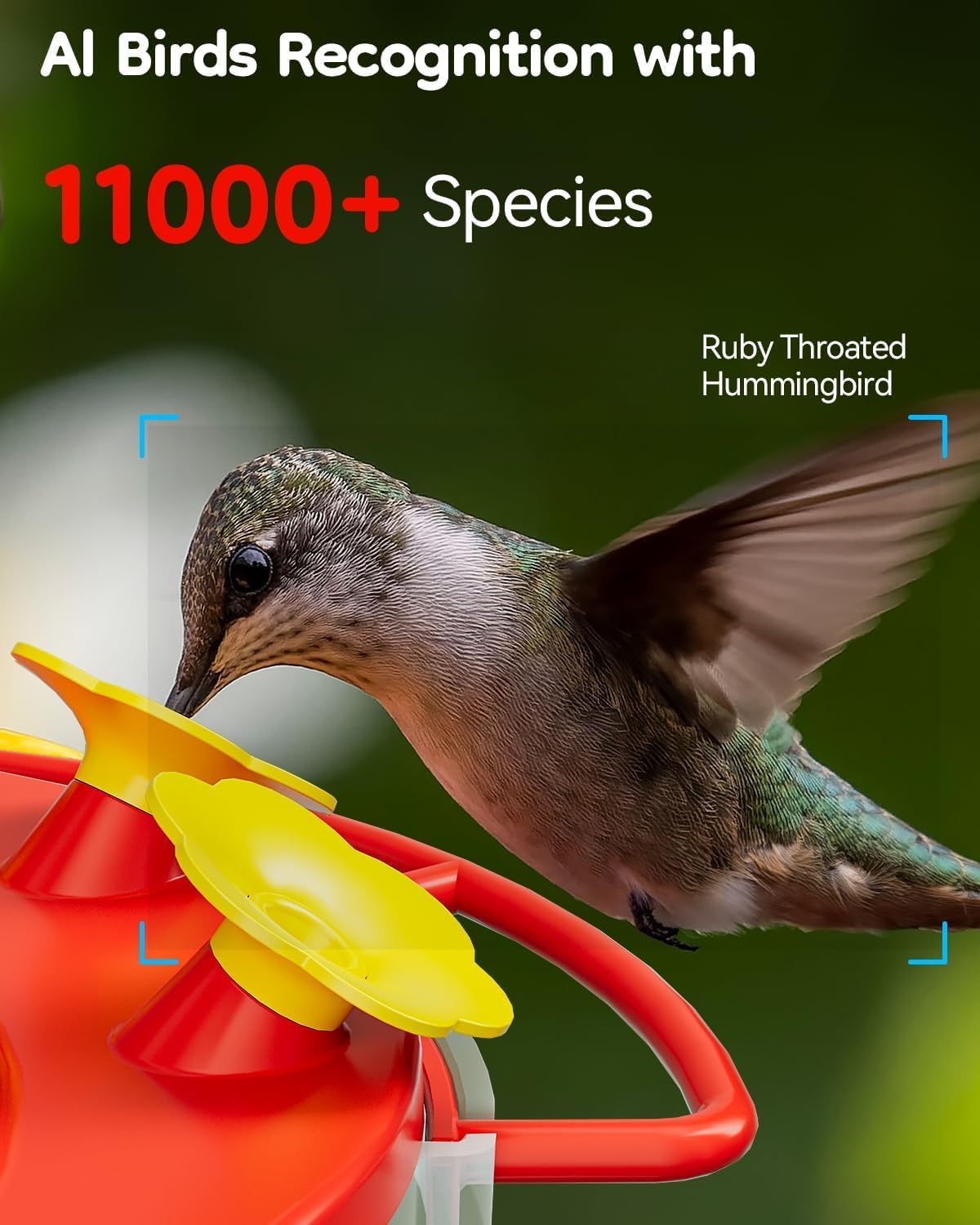 LongPlus feeder in garden with flowers, invites backyard hummingbird visits
