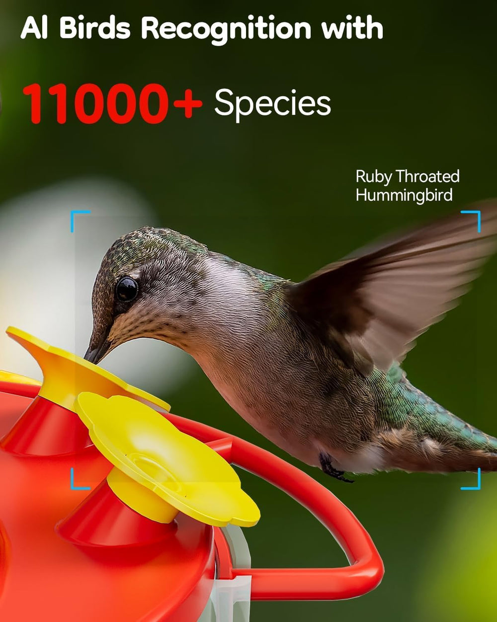 LongPlus feeder in garden with flowers, invites backyard hummingbird visits