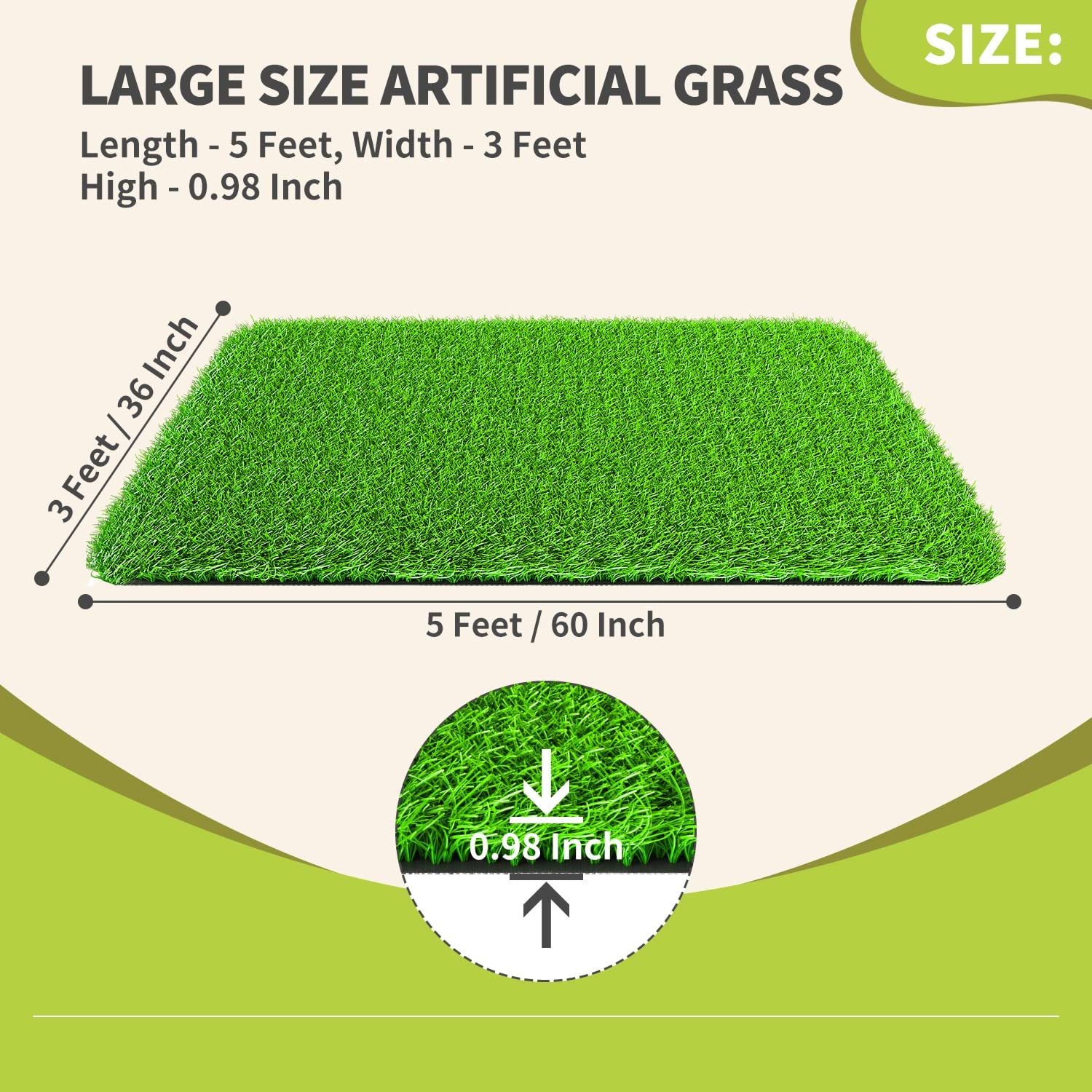 LOOBANI next to ruler for clear 3x5ft size reference