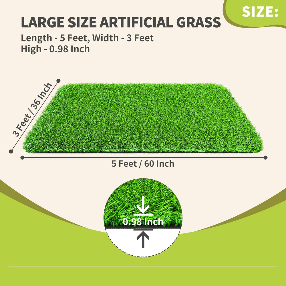 LOOBANI next to ruler for clear 3x5ft size reference
