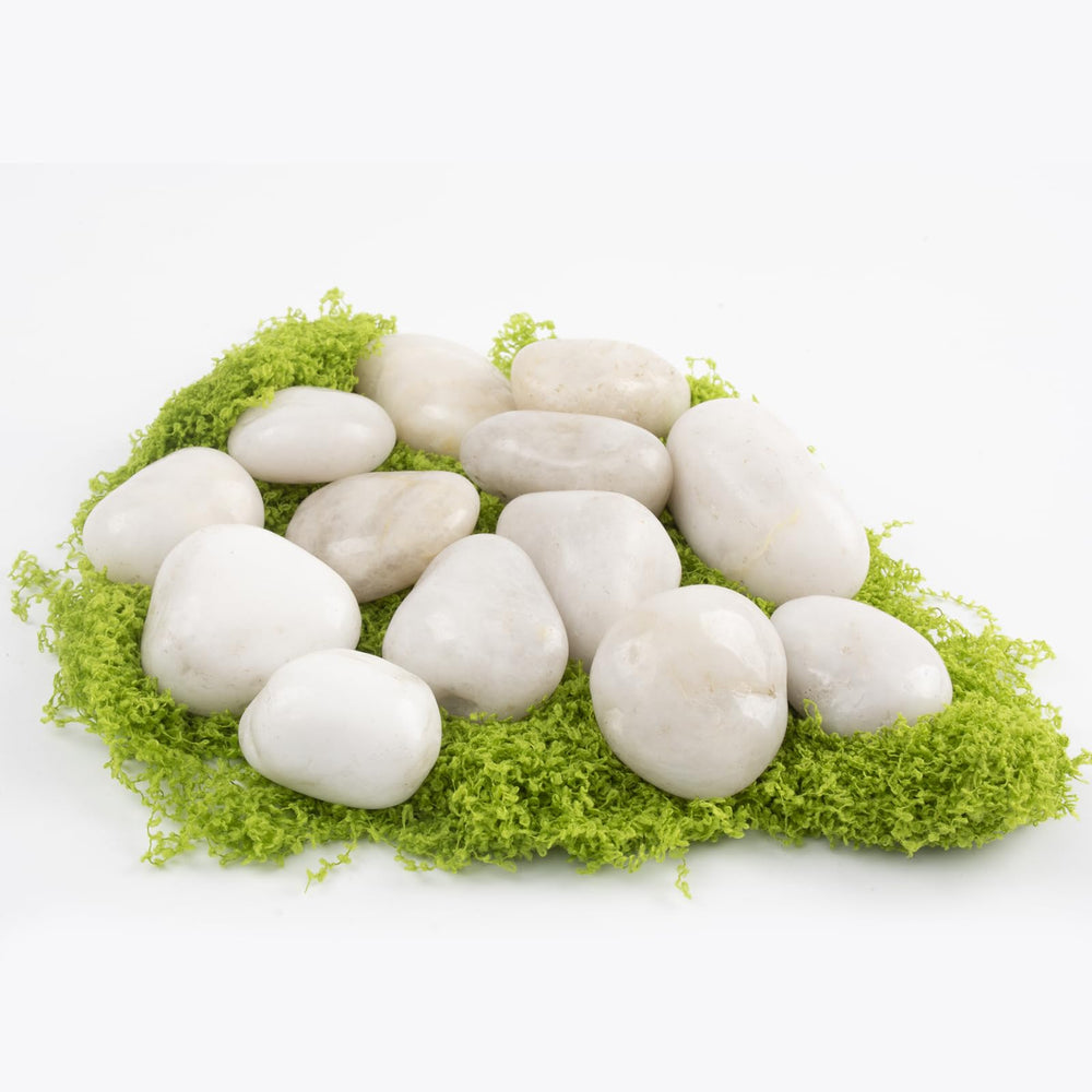 LOOIOOJ white river rocks forming a clean aquarium bed for clarity