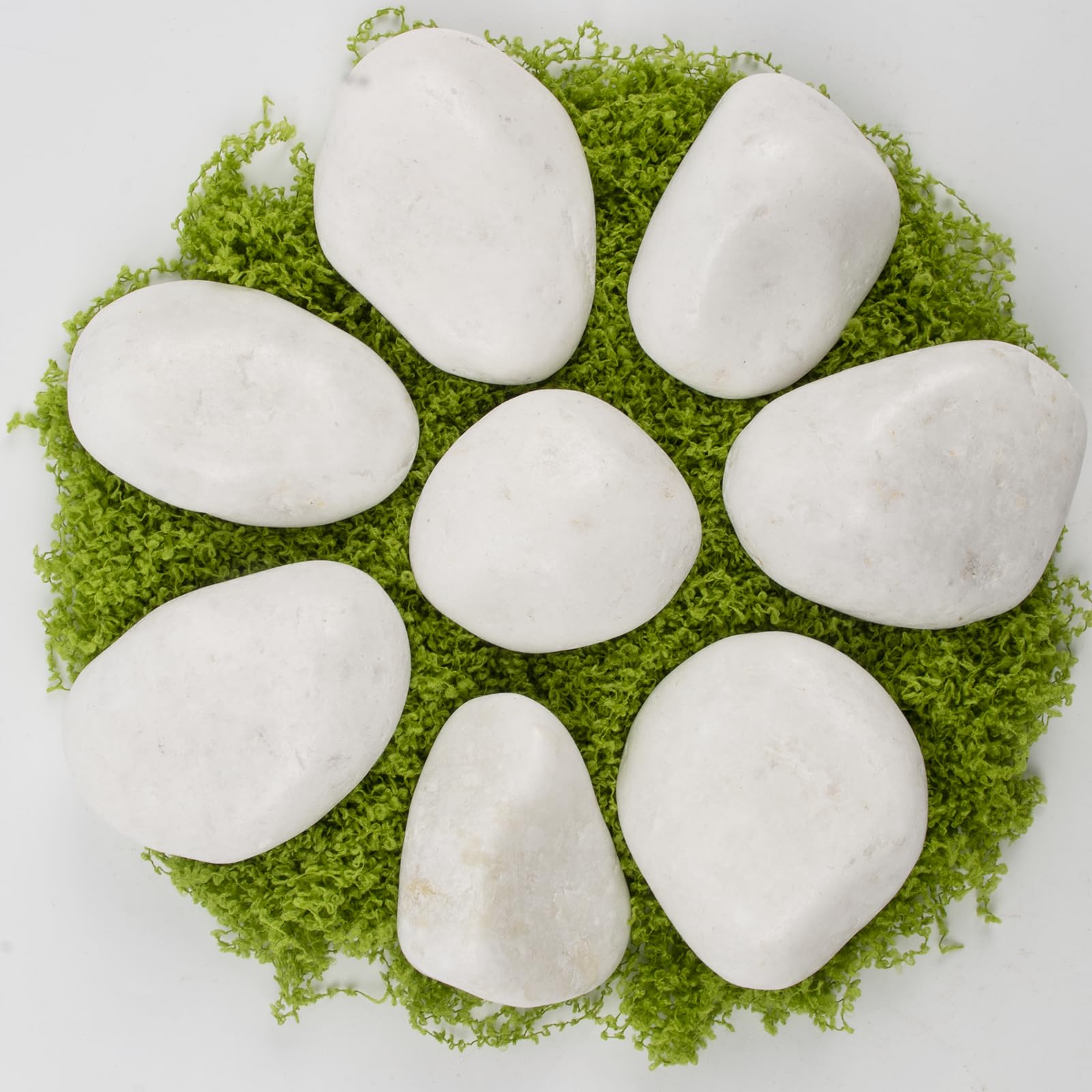 LOOIOOJ aquarium with white stones providing stable, non-floating substrate