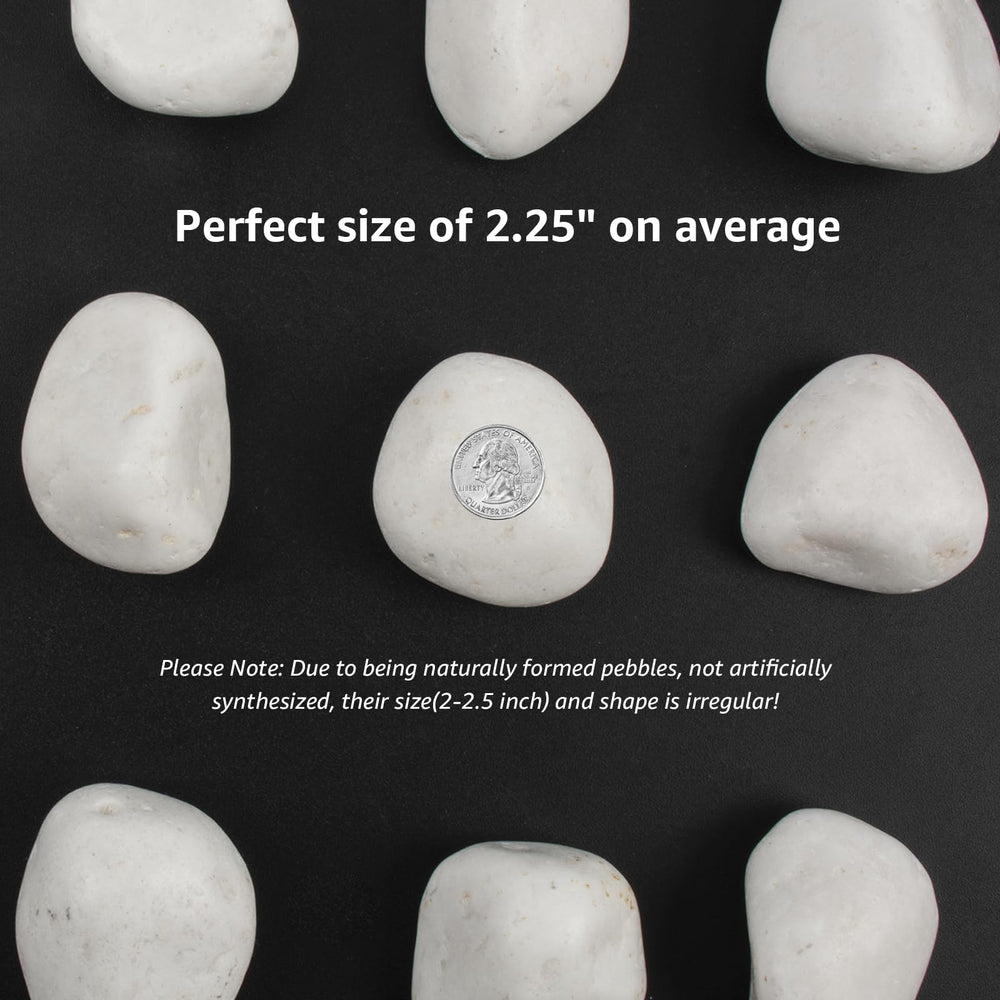 LOOIOOJ close-up polished pebble surface highlighting smooth texture and shine