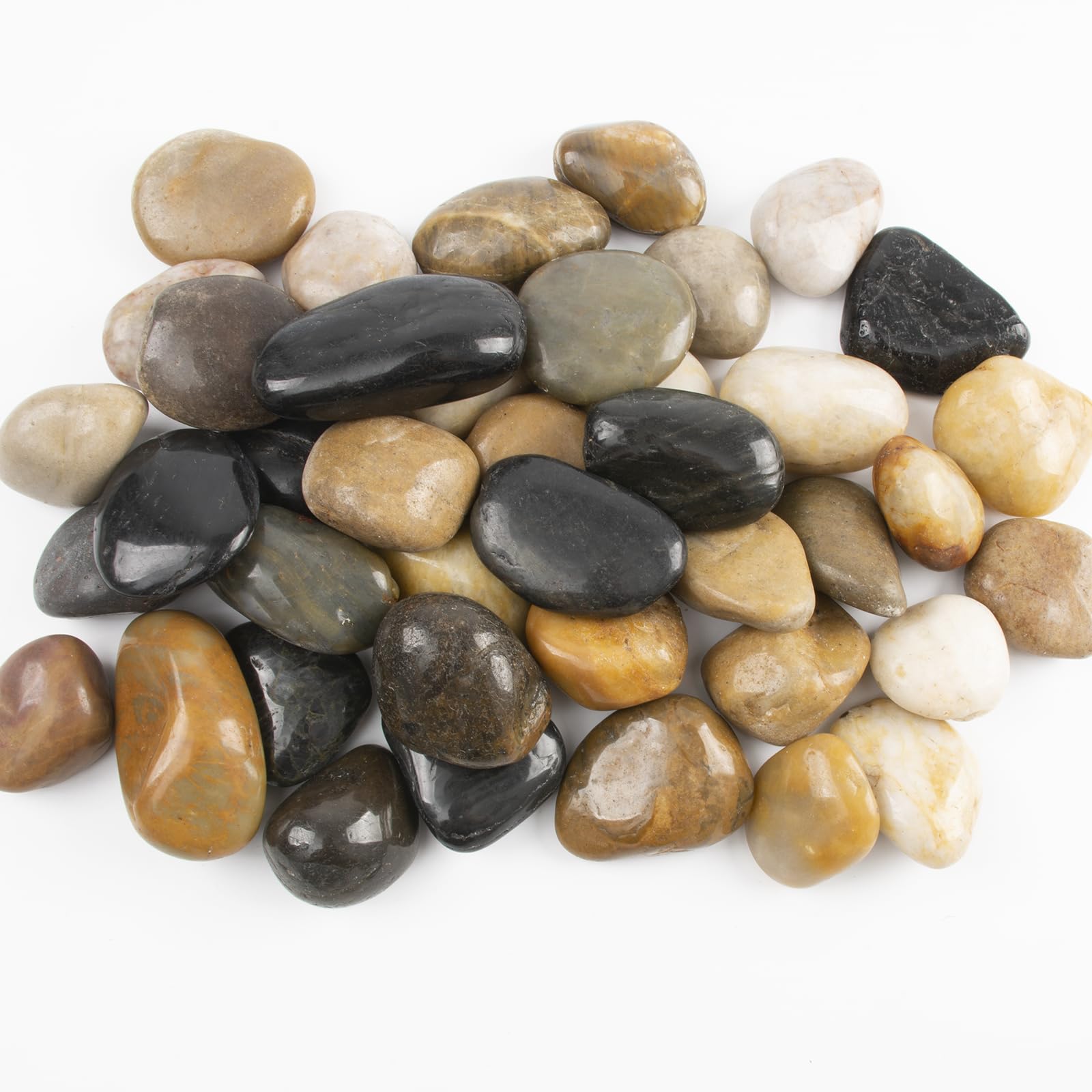 LOOIOOJ stones arranged in an aquarium accentuating safe substrate and visual depth