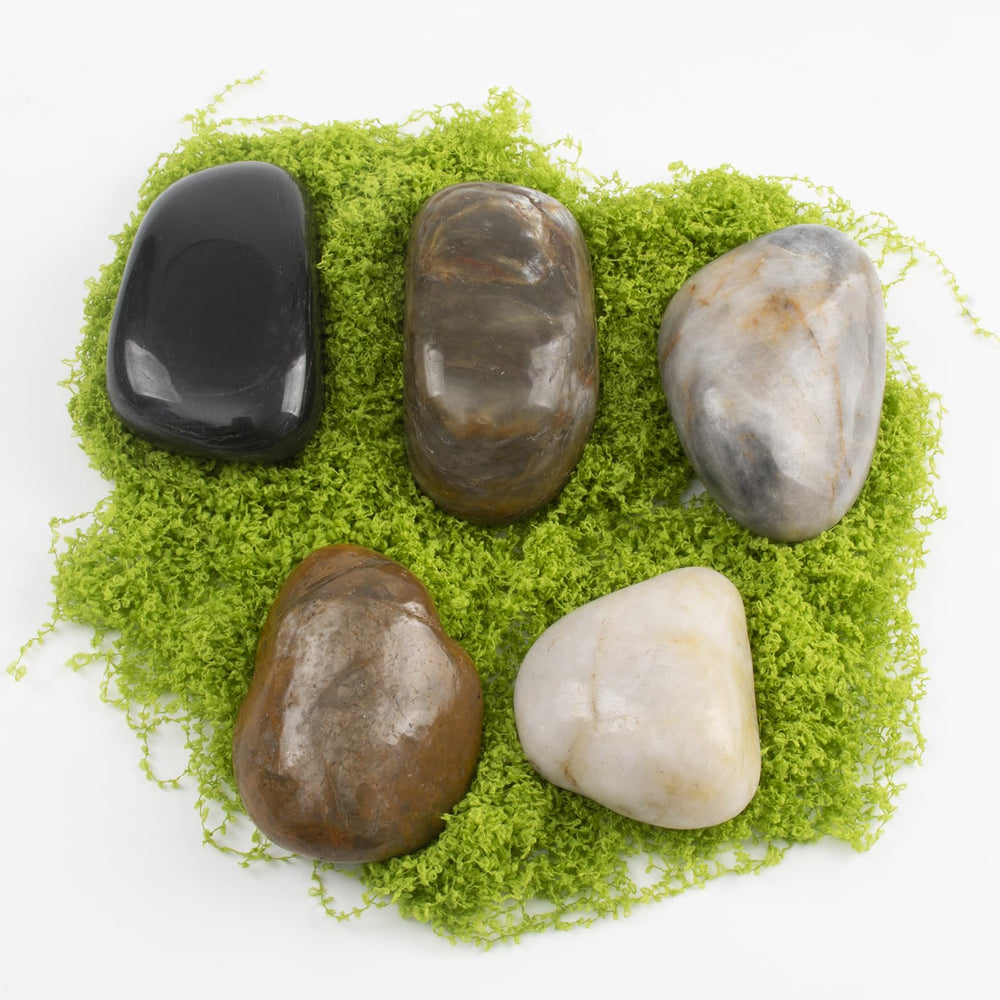LOOIOOJ stones used as planter topdress protecting soil and improving look