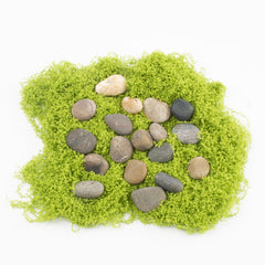 LOOIOOJ decorative pathway with pebbles improving erosion control and aesthetic benefit: stable walking surface