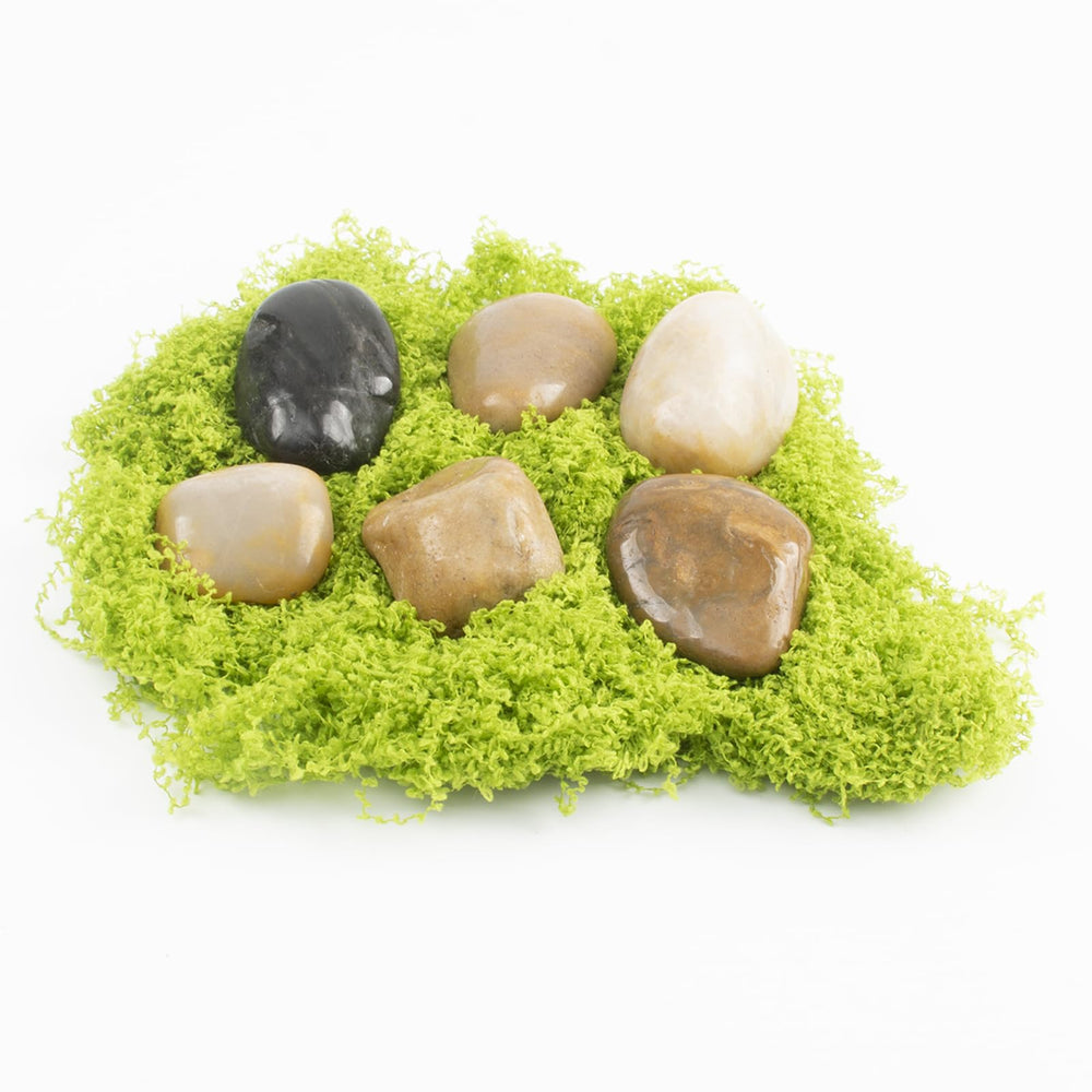 LOOIOOJ river rocks as pot top dressing improving drainage and aesthetic for succulents