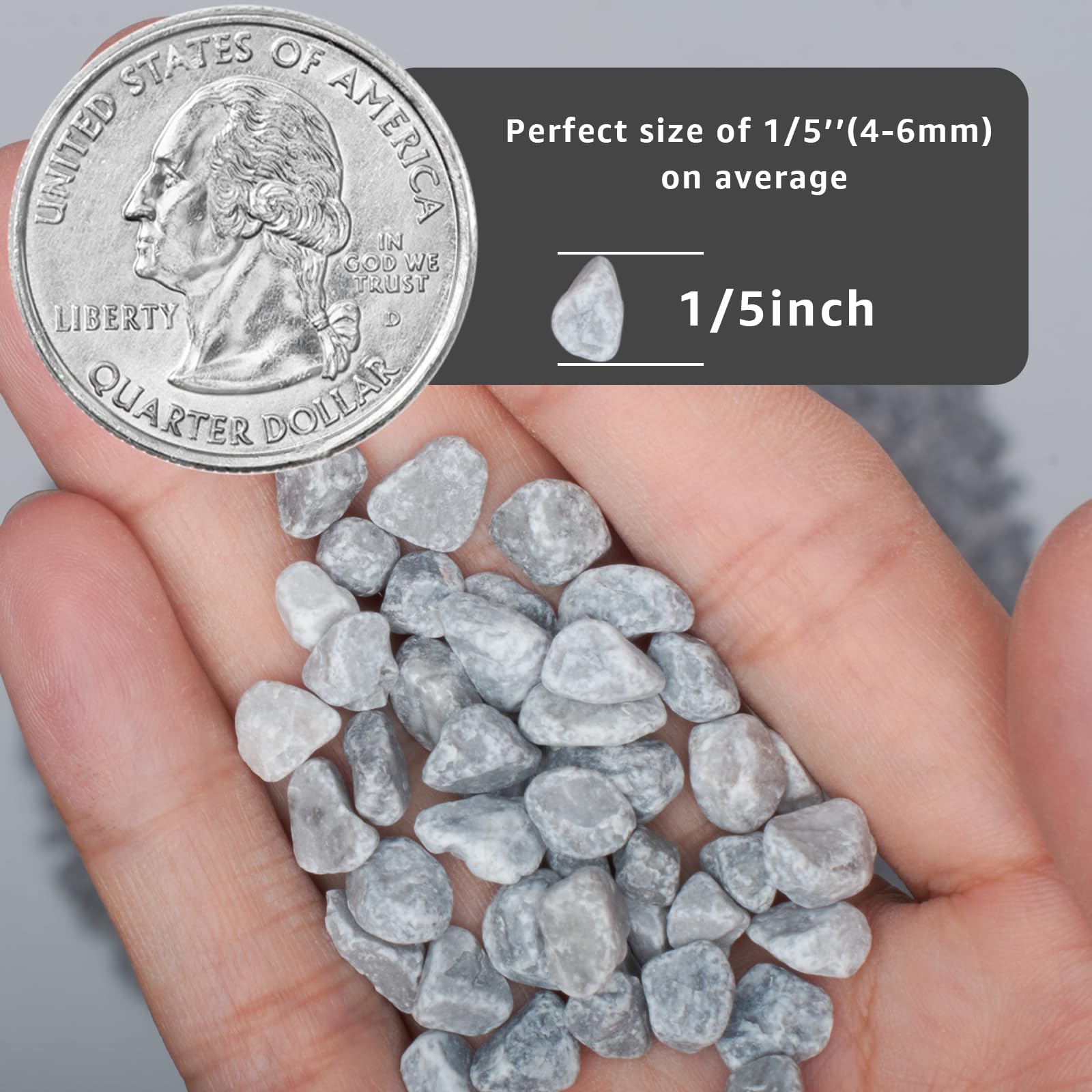 LOOIOOJ pebbles used as top dressing on succulent planter for neat appearance and moisture control
