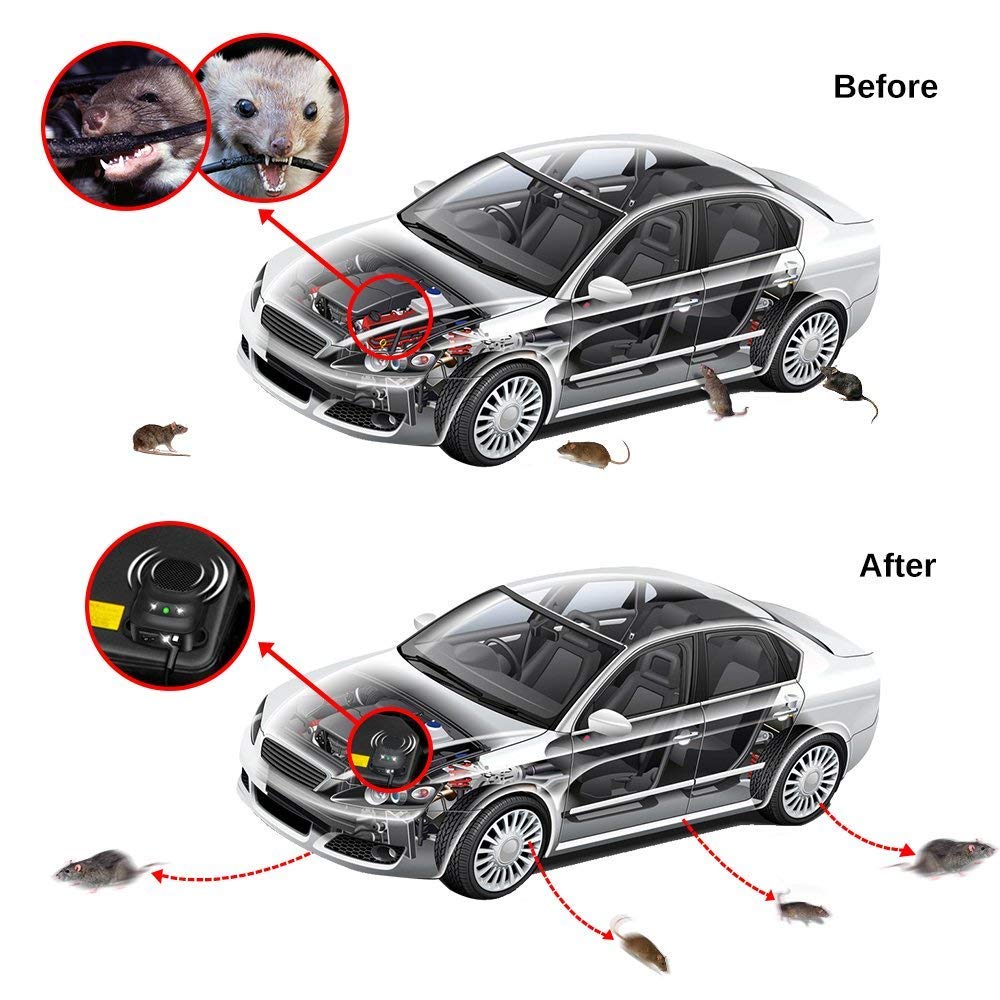 Loraffe power harness connected to battery for easy 12V/24V installation benefit