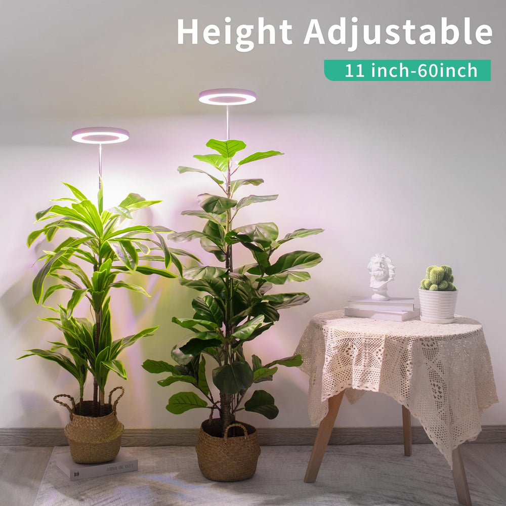 LORDEM closeup LED array highlighting uniform light distribution benefit