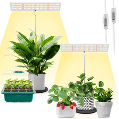 LORDEM front view grow light showing slim panel and stable base for desk gardening