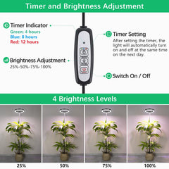 LORDEM over succulents in use demonstrating brighter growth and uniform light