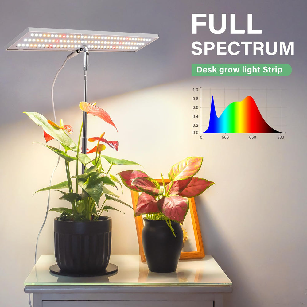 LORDEM two-pack lighting herbs on kitchen shelf for consistent daily light